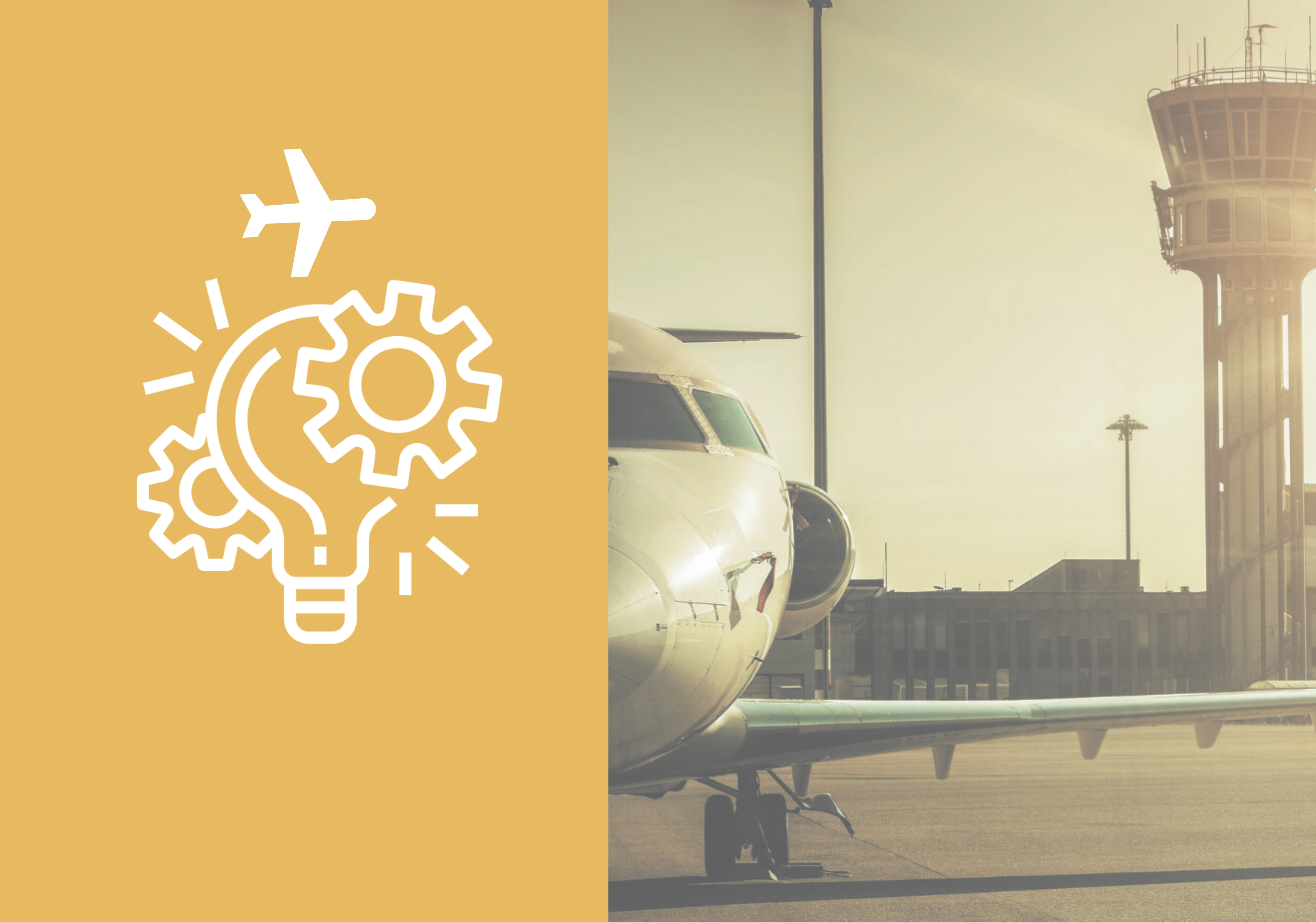 Gestión de Riesgos para Aviación AULA 2025/09