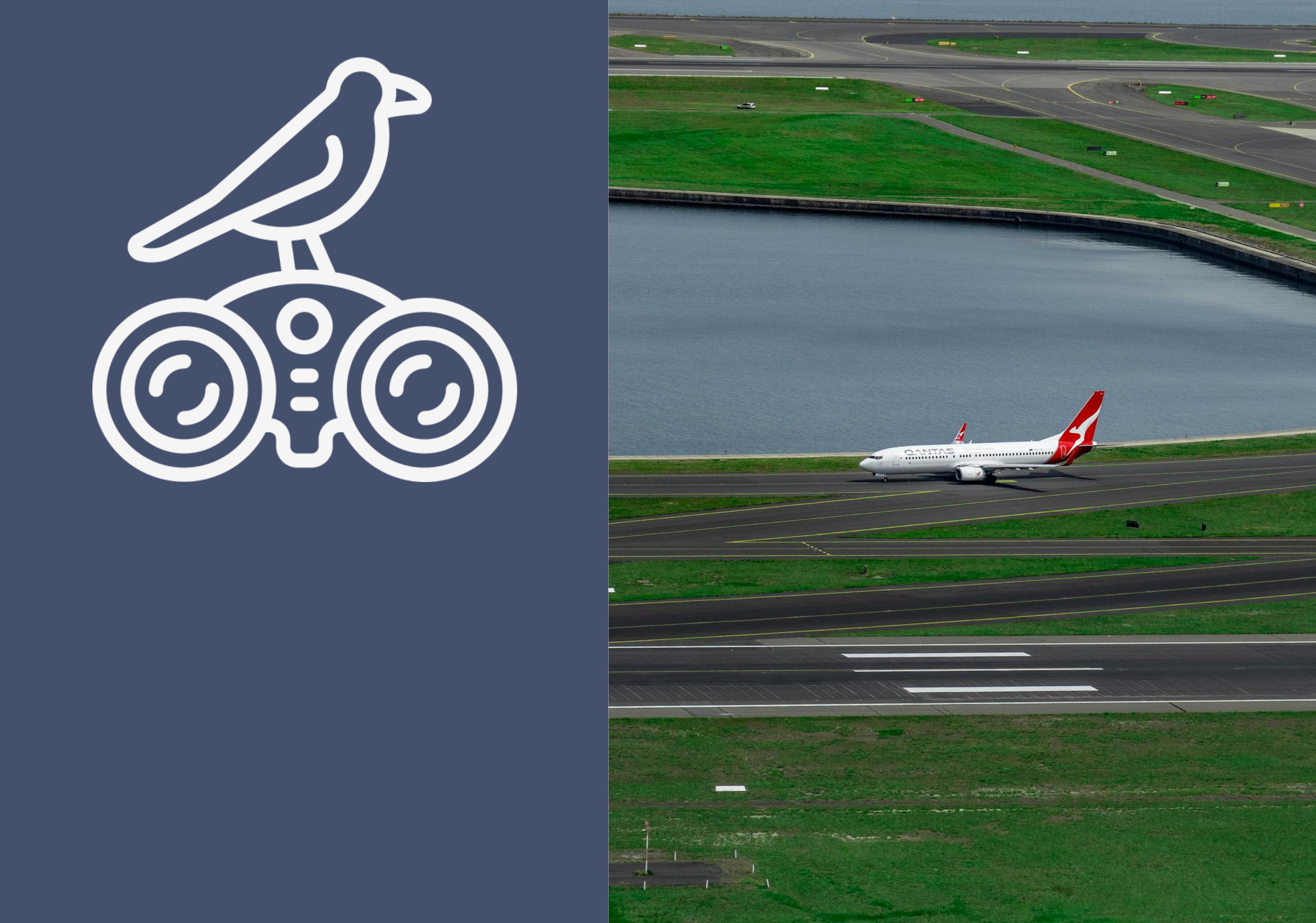 Prevención del Riesgo por Fauna en Aeródromos Aula 2025/02